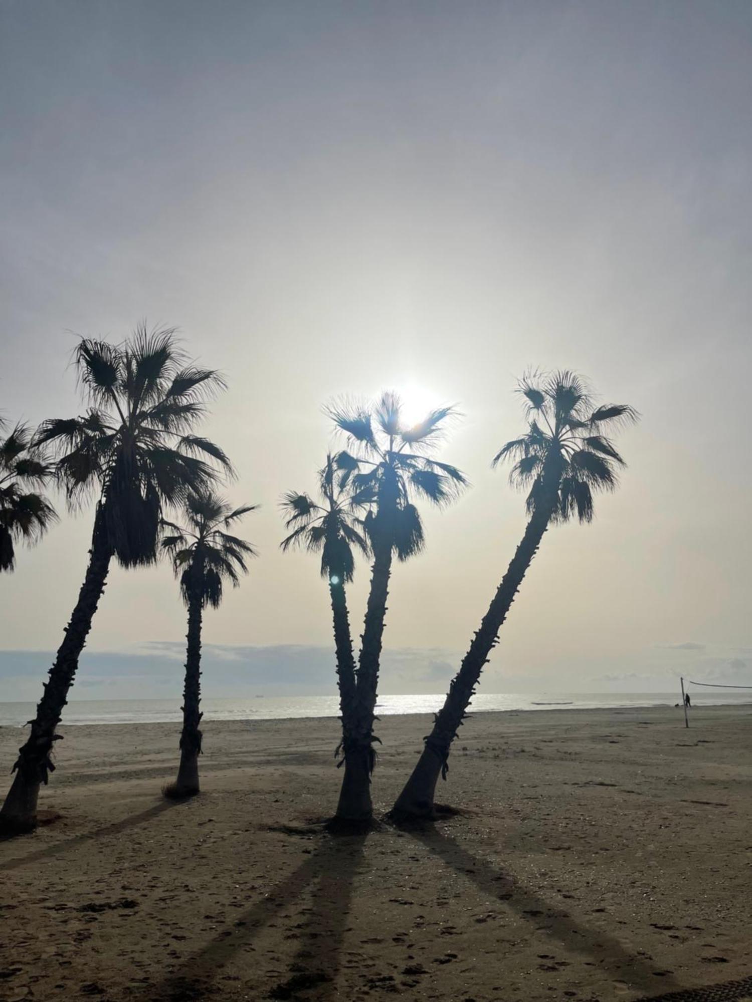 Agh Canet Канет-де-Беренгер Экстерьер фото
